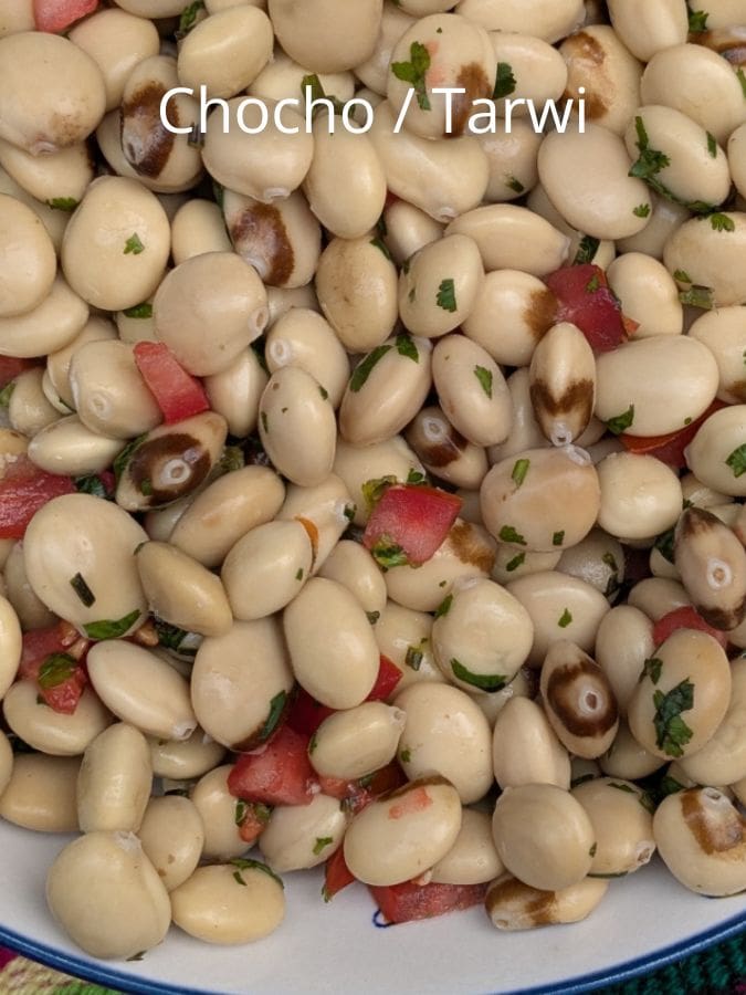 Chocho or Tarwi are a legume extremely high in protein and make excellent salads and spreads.