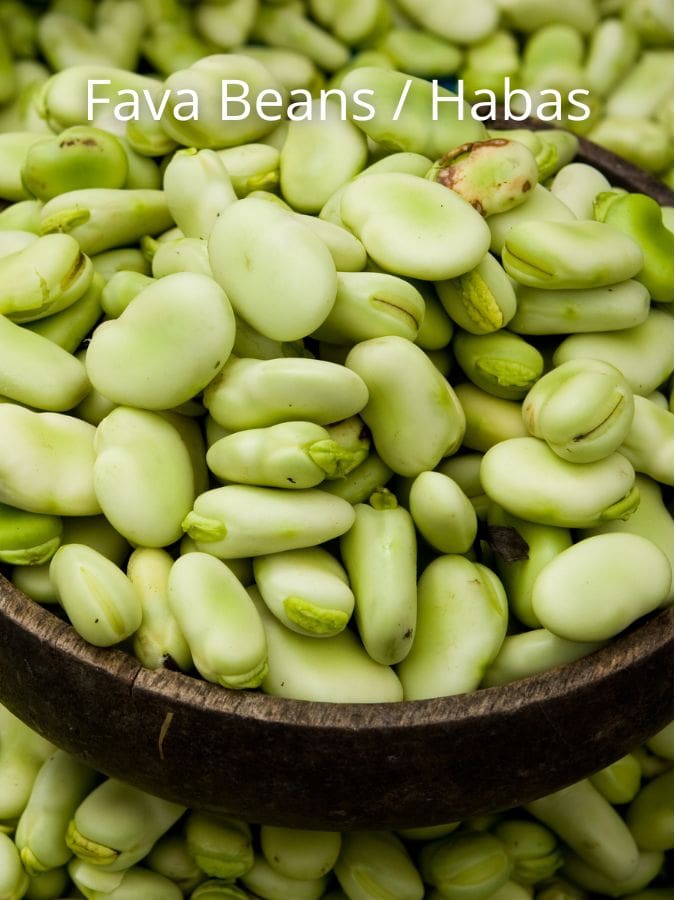 Fava beans are a plant-based protein with versatile uses whole or mashed, warm or cold.