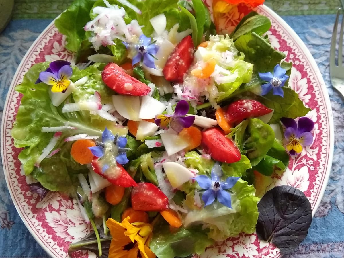 A textured green salad with presents a rainbow of colors from vegetables, fruit, and flower petals.