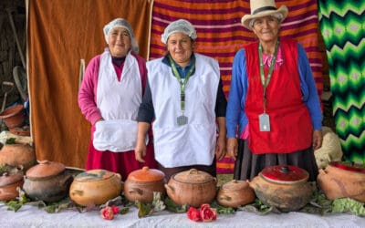 Vegan Hospitality in the Andes